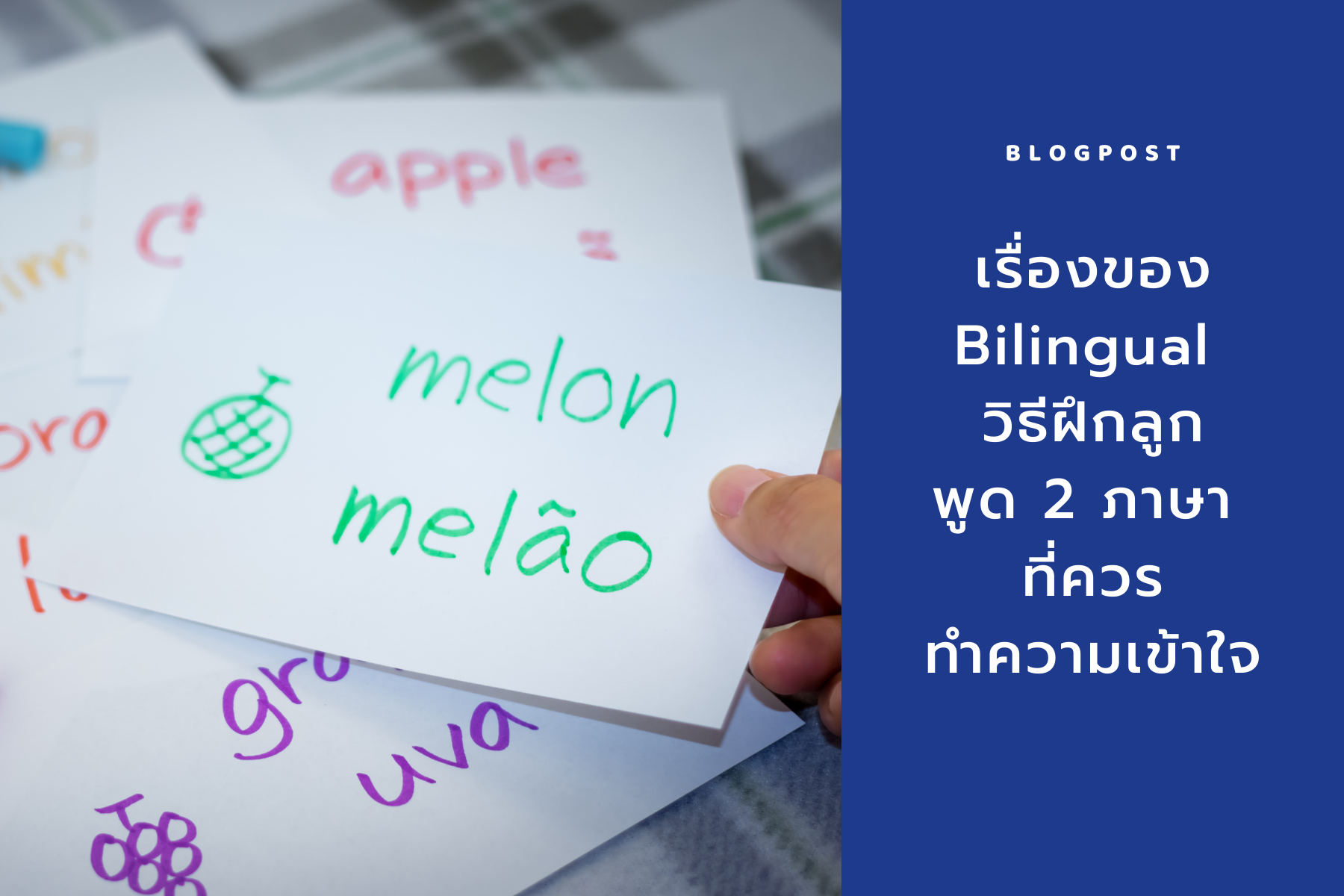 Read more about the article เรื่องของ Bilingual วิธีฝึกลูกพูด 2 ภาษา ที่ควรทำความเข้าใจ